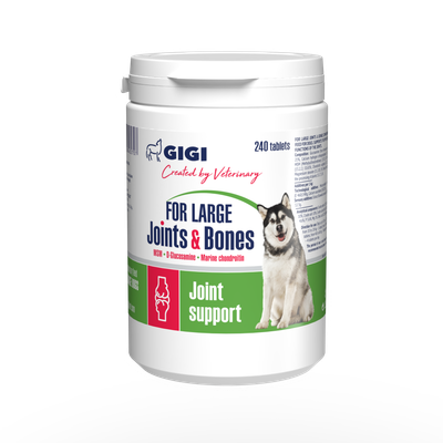 GIGI Large Joints&Bones tbl. N240